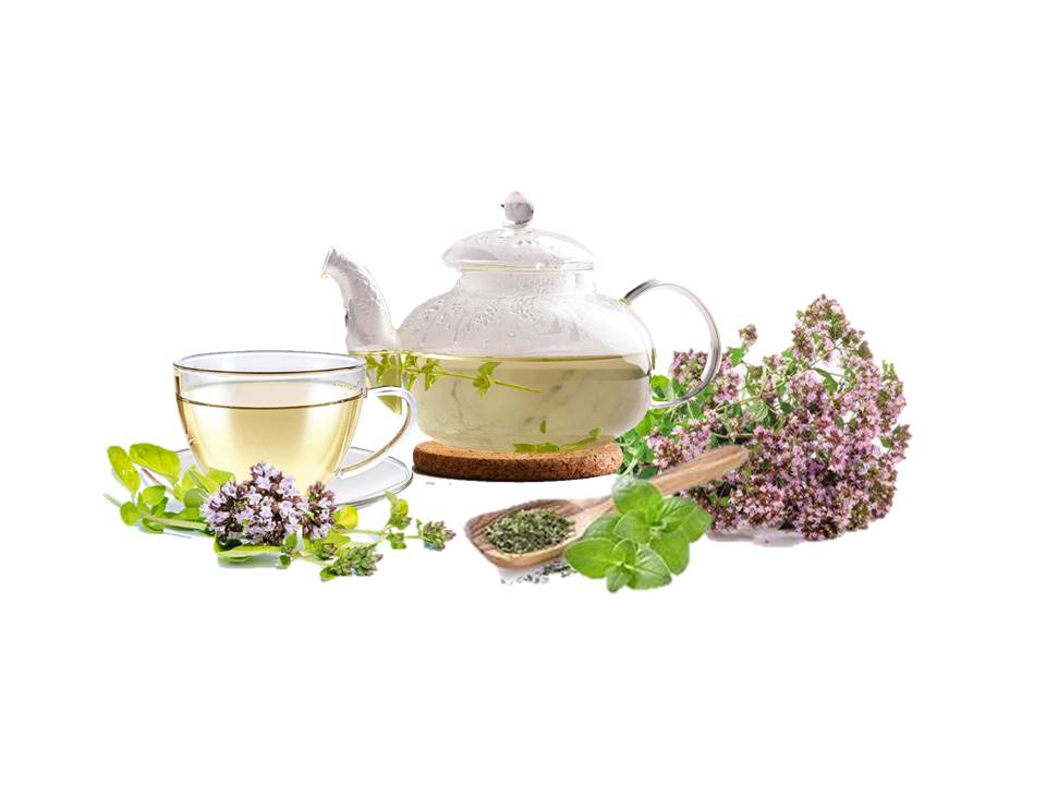 Oregano Tea Okc Massage Clinic